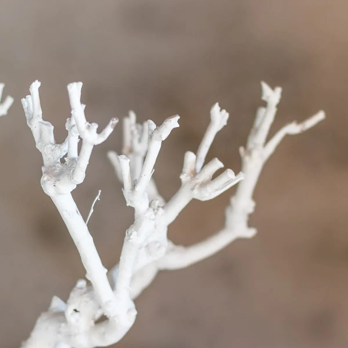 Decoboompje Wit 50-60cm (3)