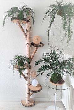 Decoratie wandboomstam berk (1)