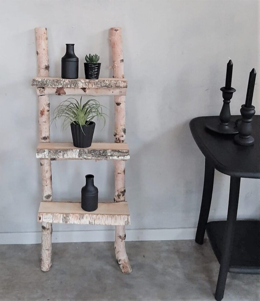 Decoratieladder met berkenplanken