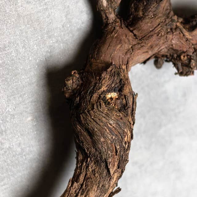 Detail druivenstronken (4)