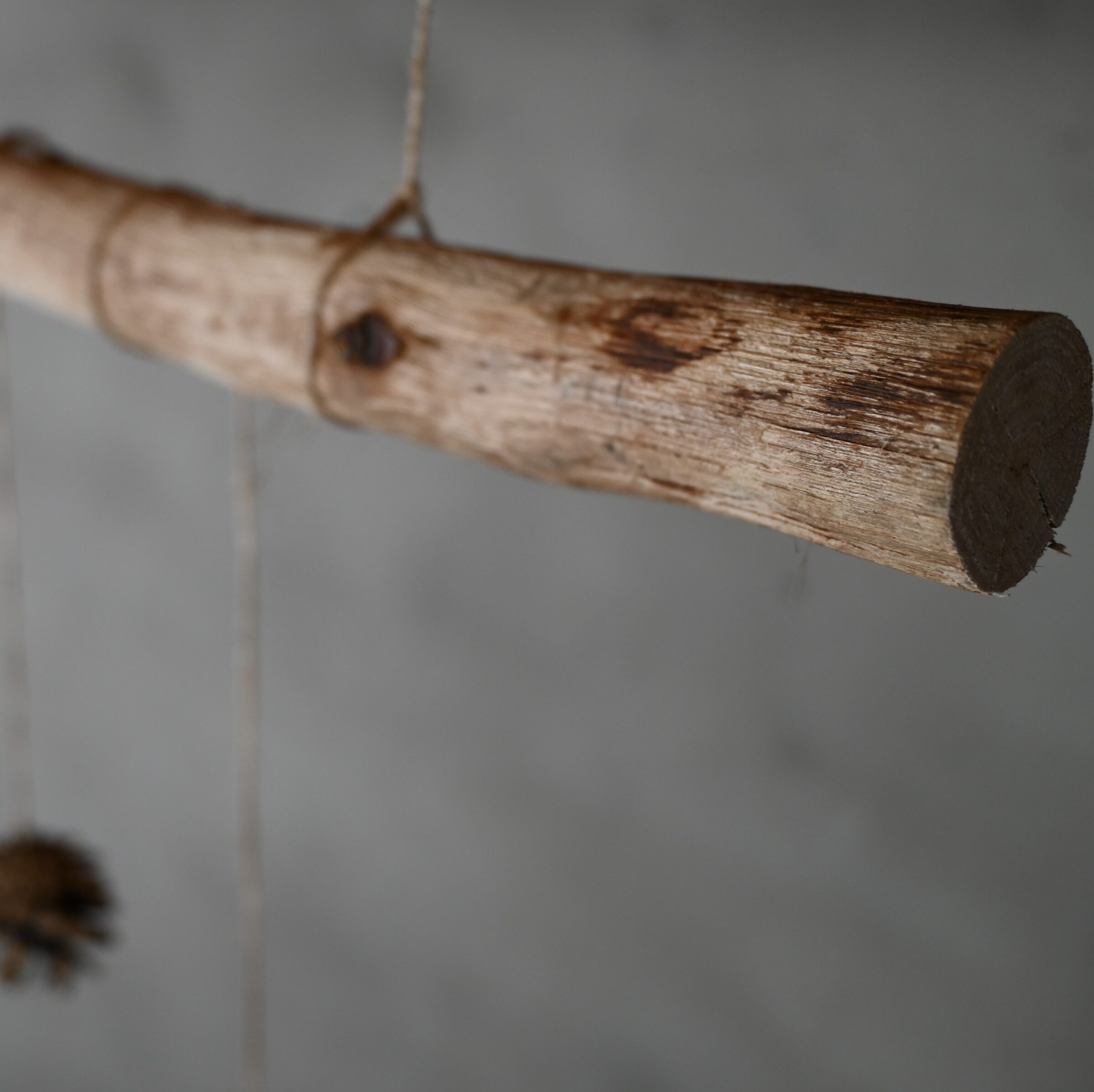 Detail eikentak hanger