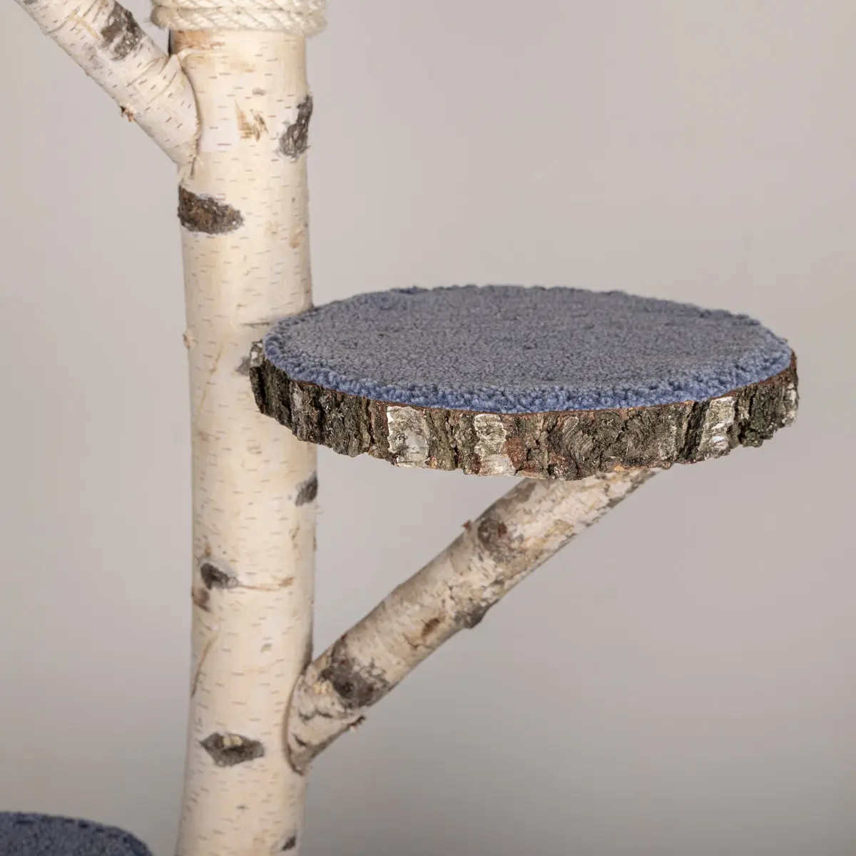 Detail foto krabpaal zitschijf