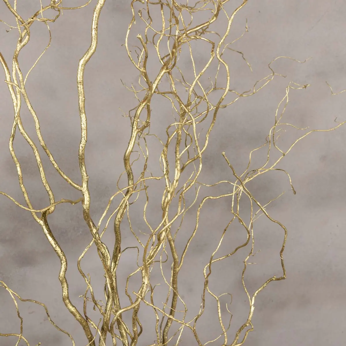 Detail gouden takken (2)