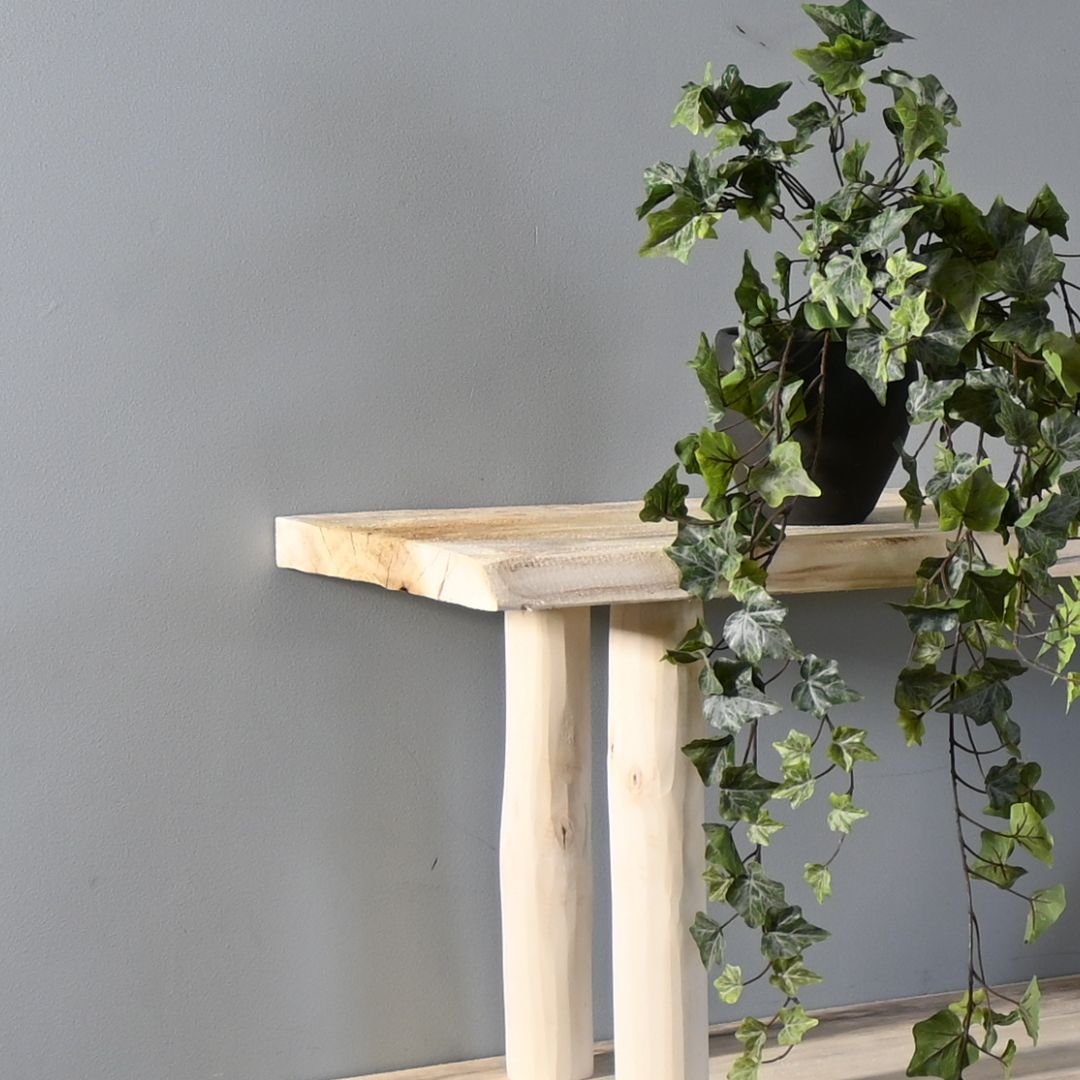 Detail kast Esper (3)