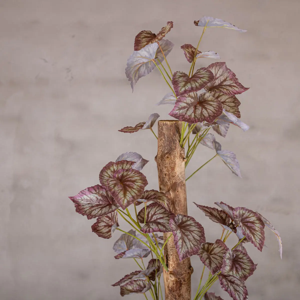 Detail kunstplant Alocasia (1)