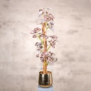 Detail kunstplant Alocasia (3)