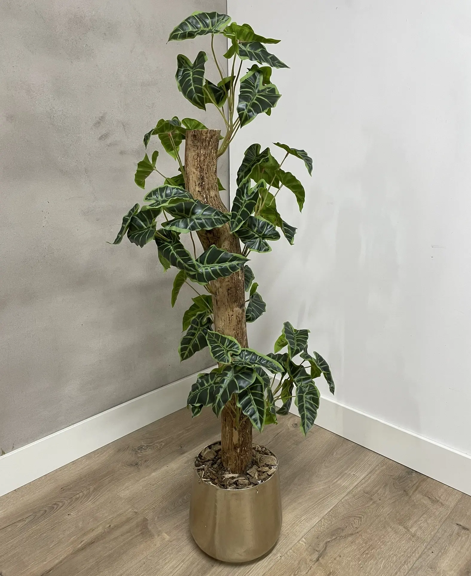 Detail kunstplant Alocasia (4)