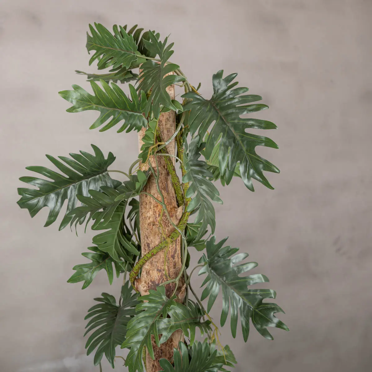 Detail kunstplant Philodendron (1)