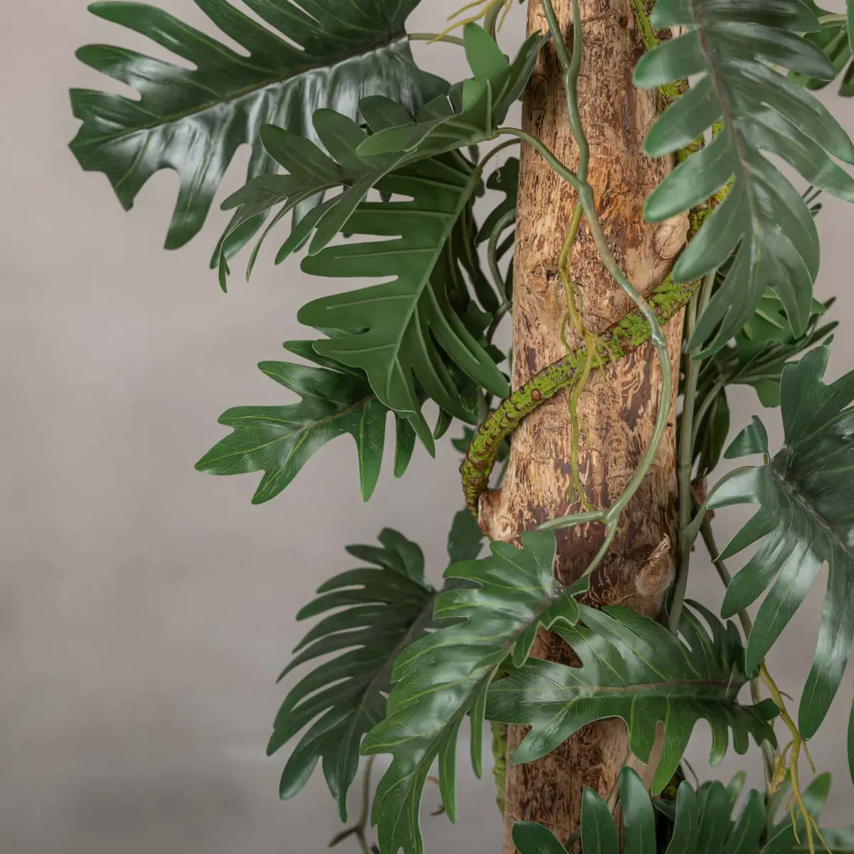 Detail kunstplant Philodendron (2)