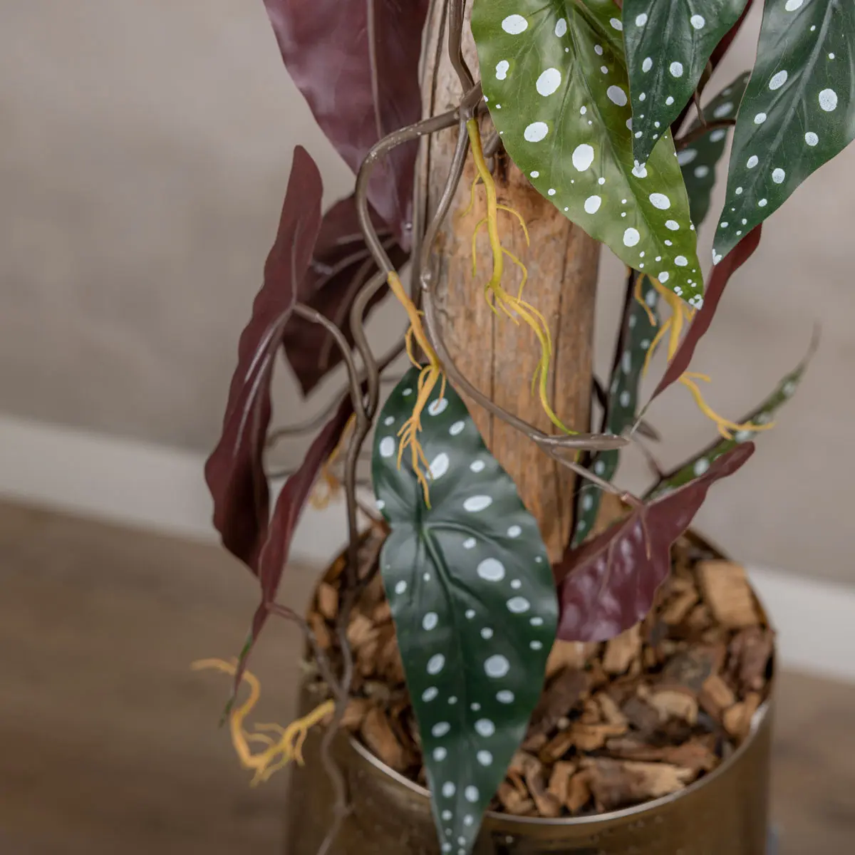 Detail kunstplant Stipbegonia (4)