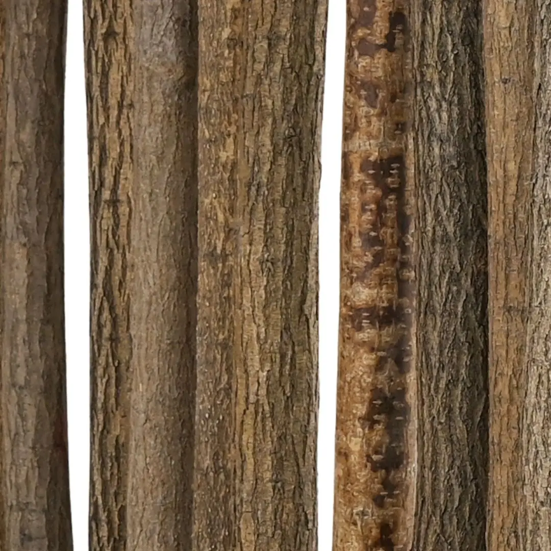 Detail lindenstammen