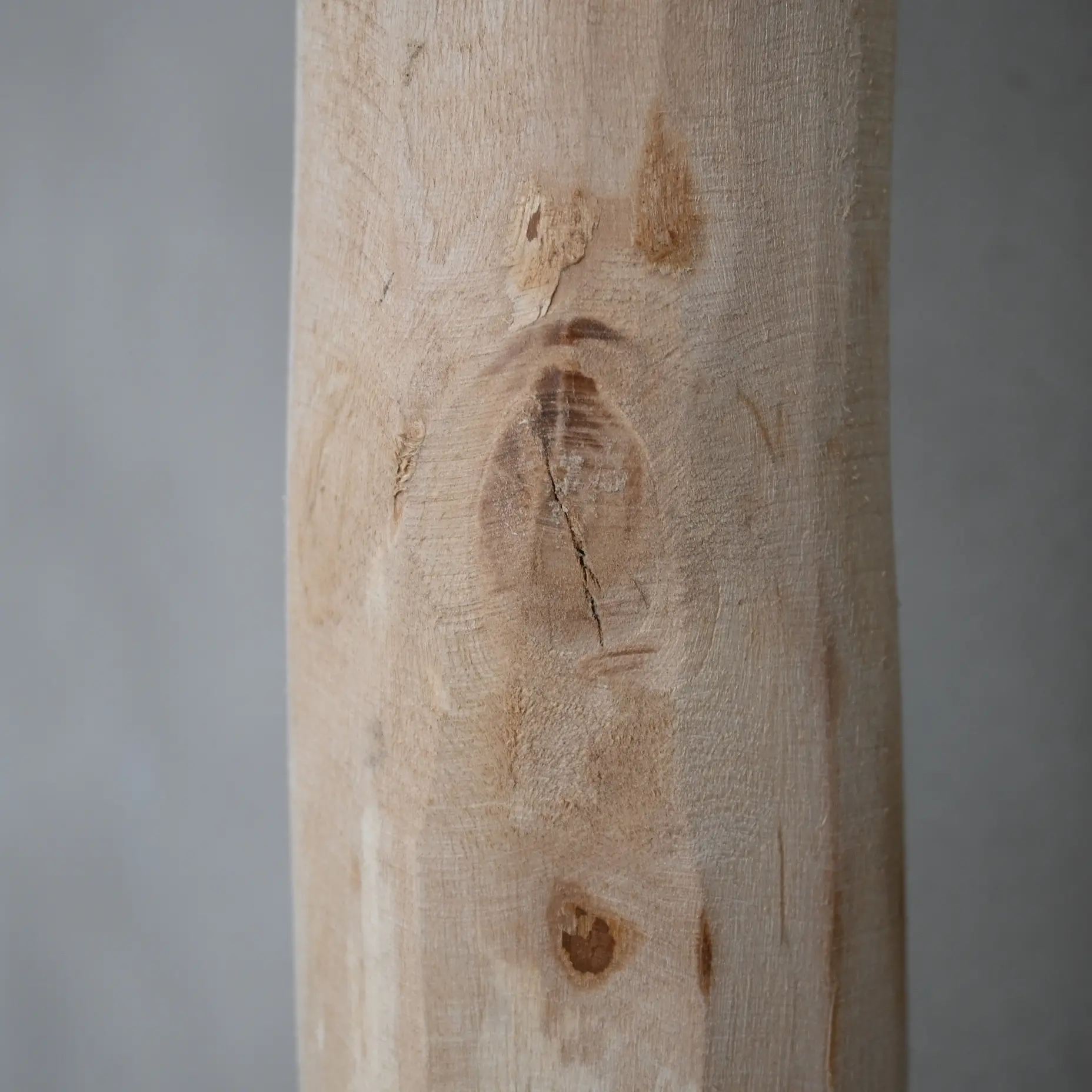 Detail ontschorste stam