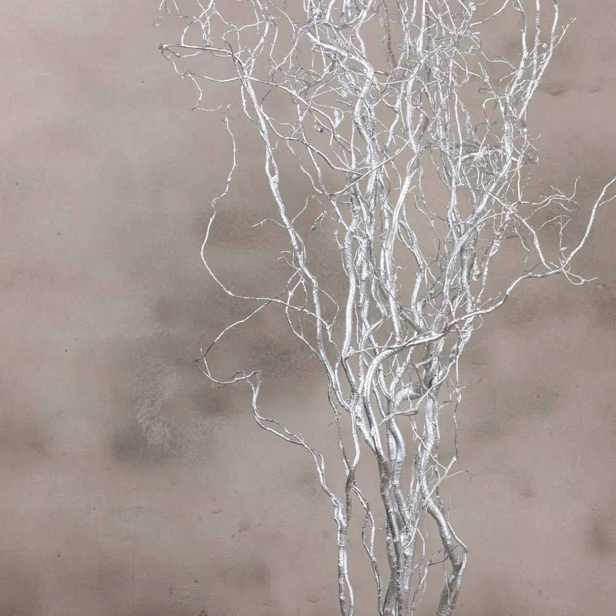 Detail zilveren takken (1)