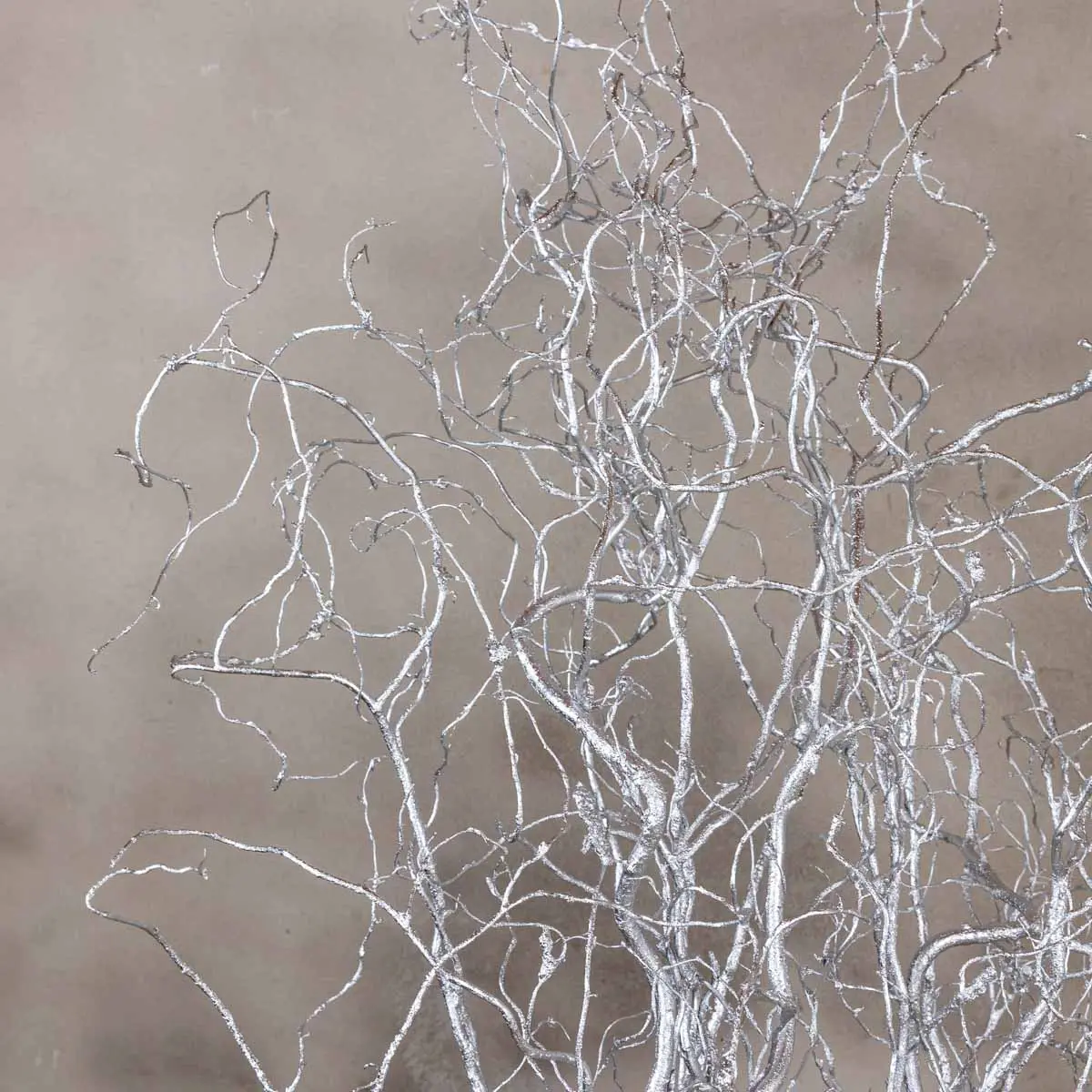 Detail zilveren takken (2)