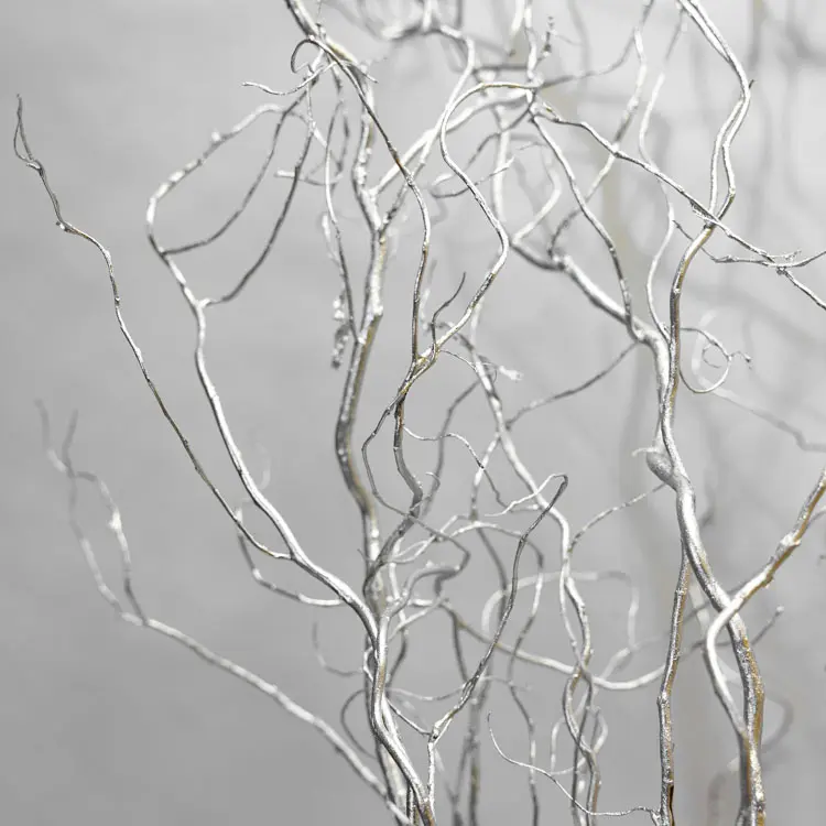 Detail zilveren takken (3)