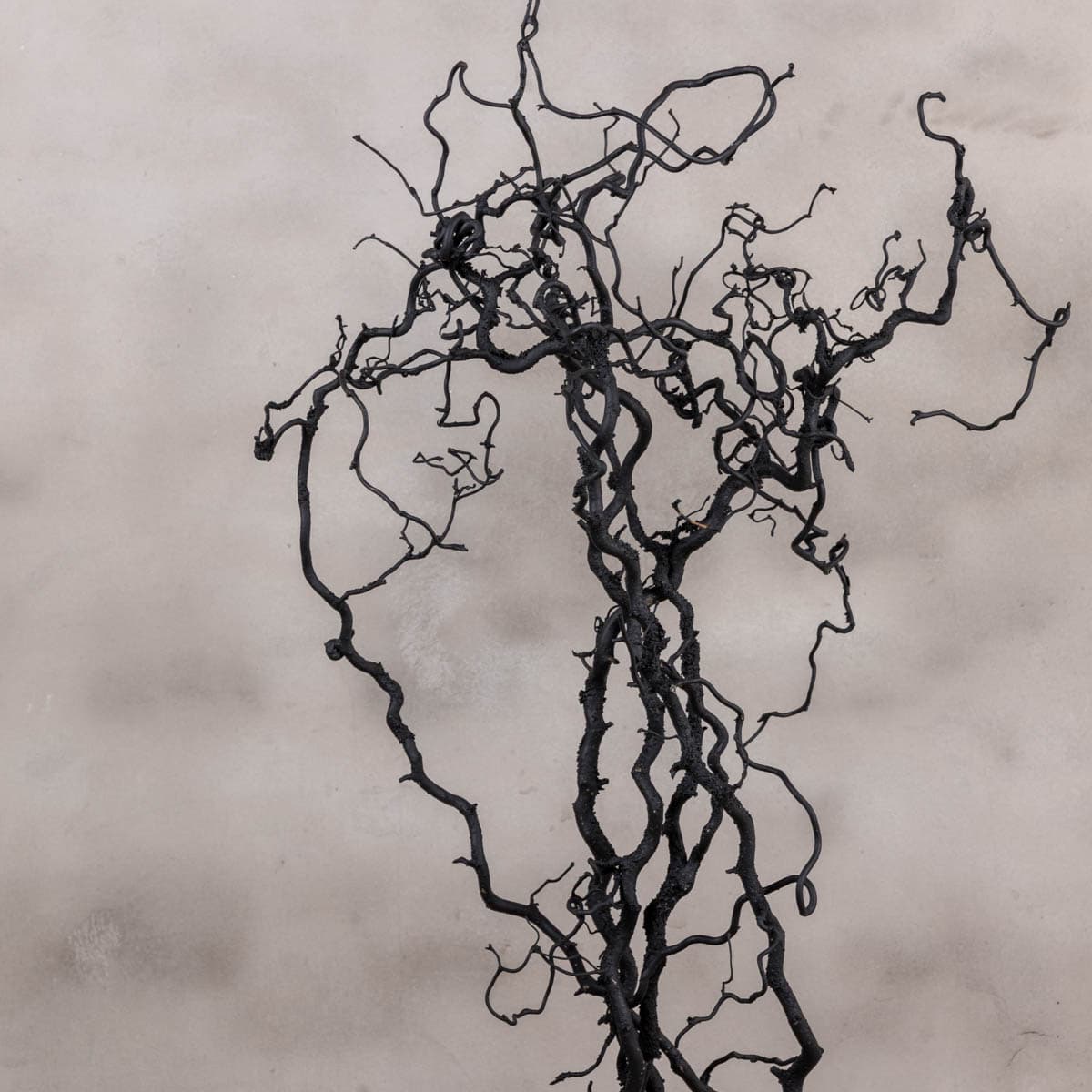 Detail zwarte takken (1)