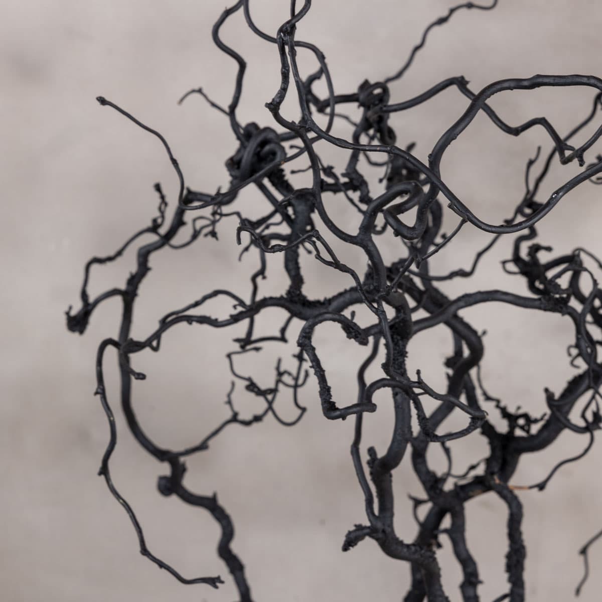 Detail zwarte takken (2)