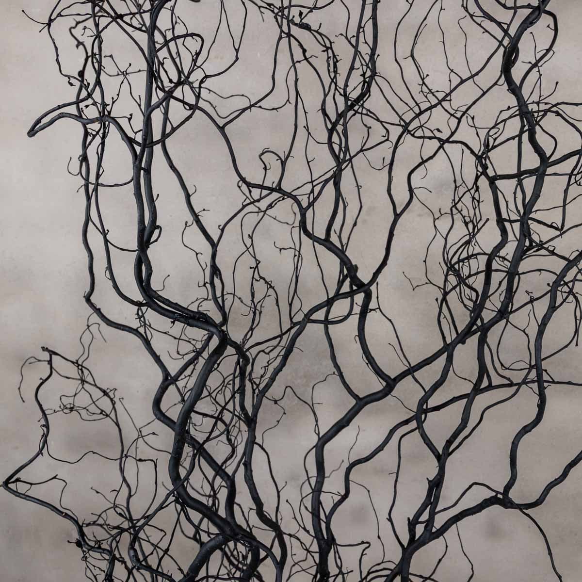 Detail zwarte takken (3)