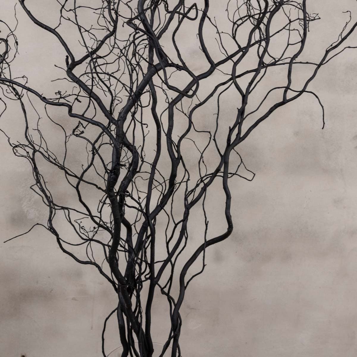 Detail zwarte takken (4)