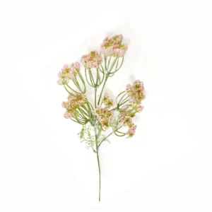 Dille vertakt Lichtroze 50cm