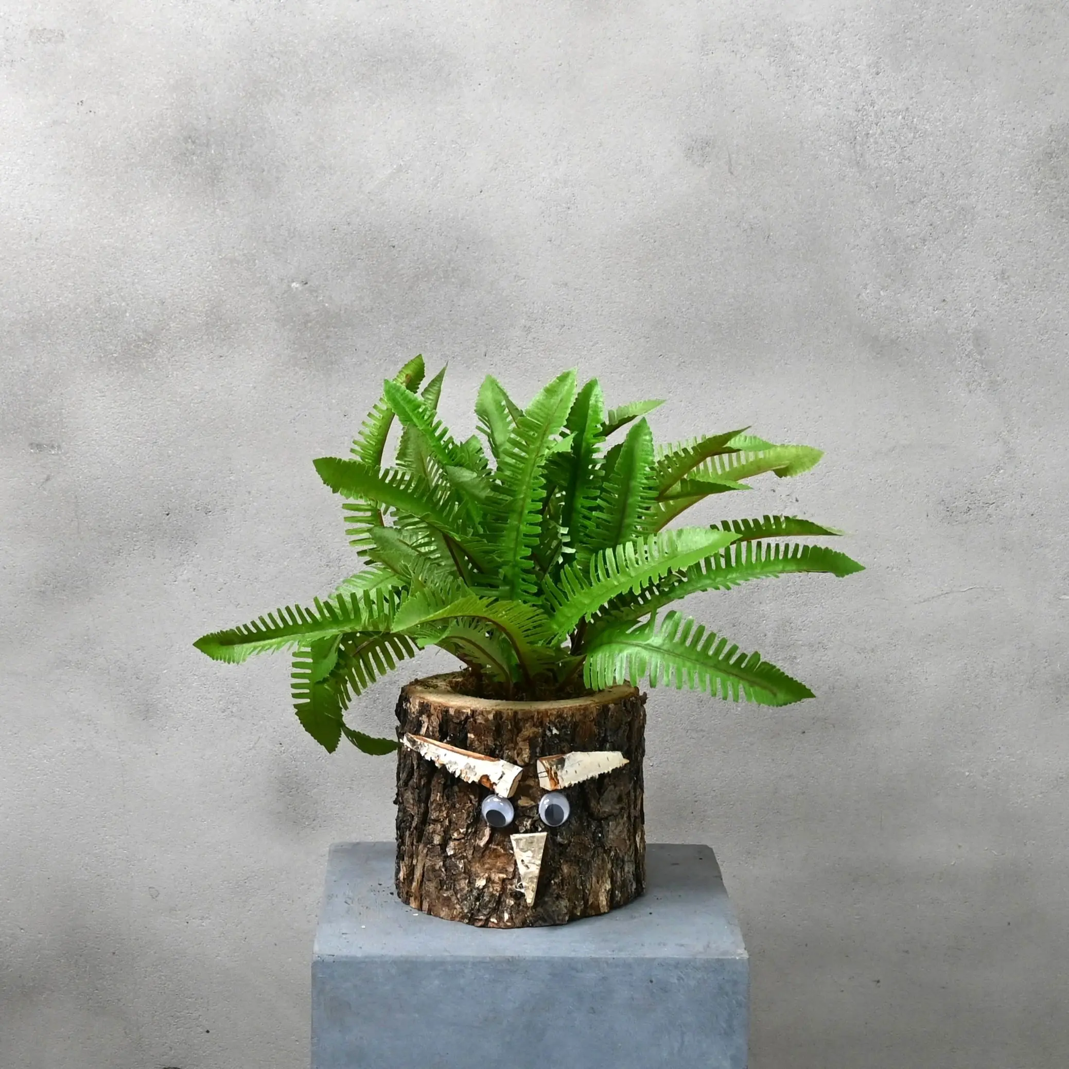 Eikenstammetje Bosrijk