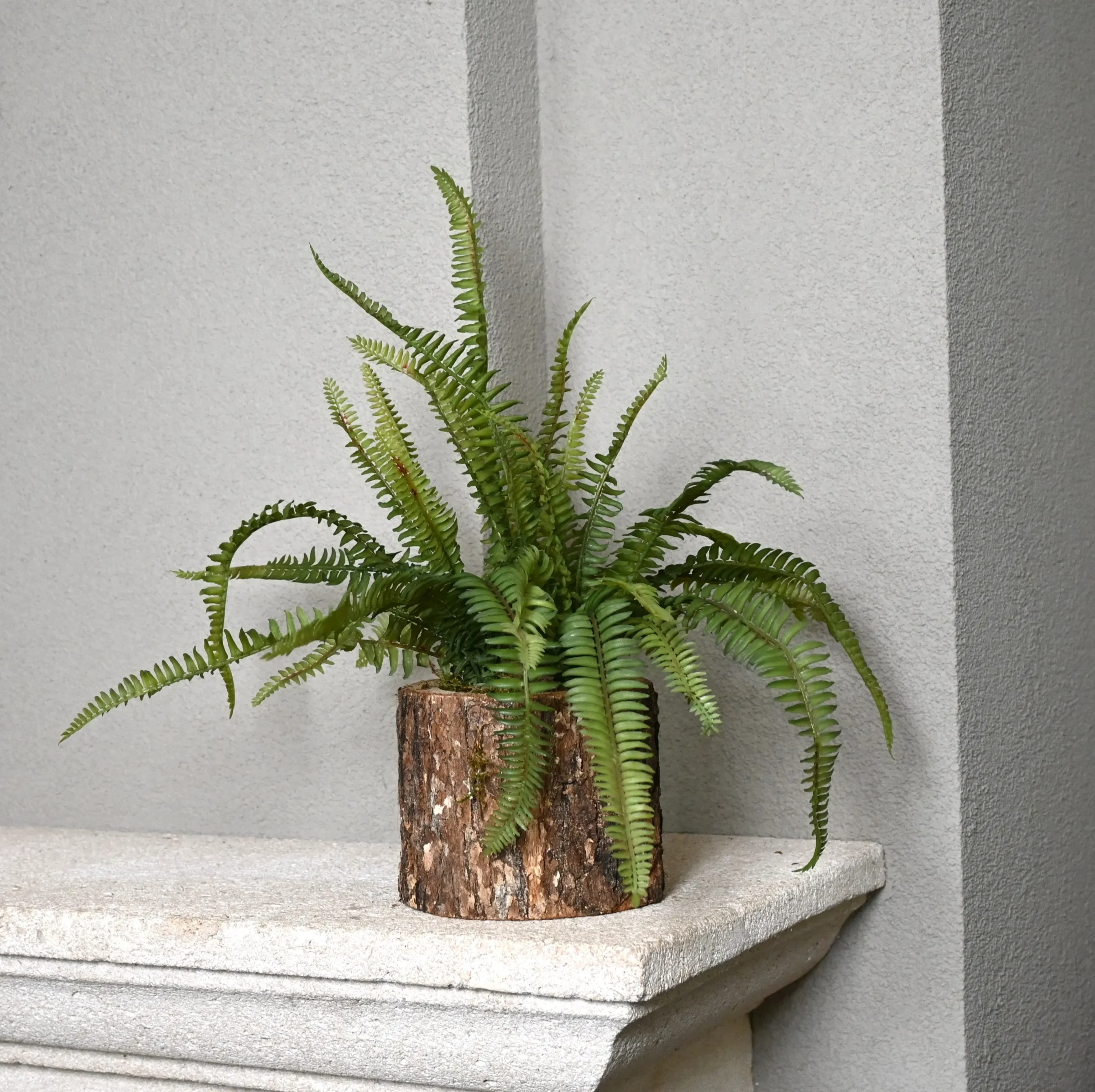 Eikenstammetje Varenwoud (2)