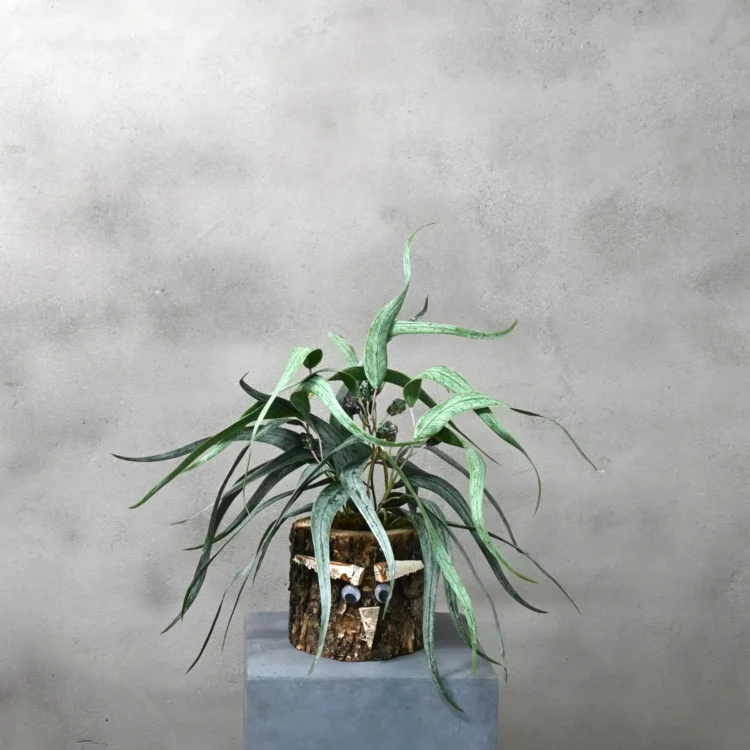 Eikenstammetje Wigenrust (1)