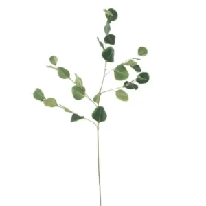 Eucalyptus Groen 85cm