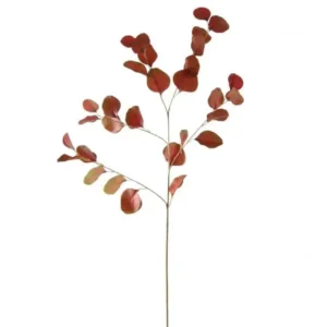 Eucalyptus Rood Groen 85cm