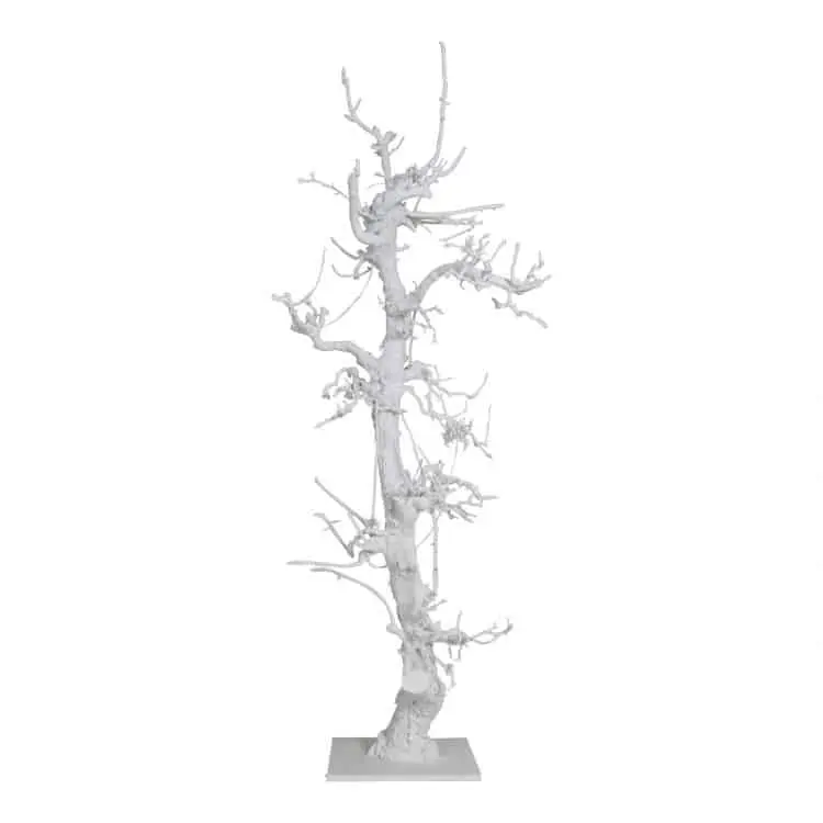 Fruitboom groot Wit 150cm