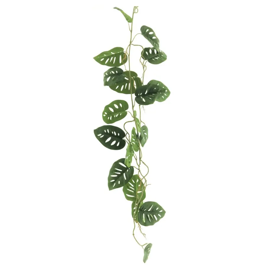 Gatenplant guirlande