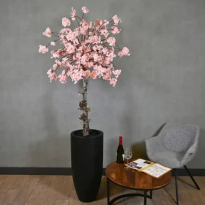 Grote bloesemboom Claire met pot Roze 200cm