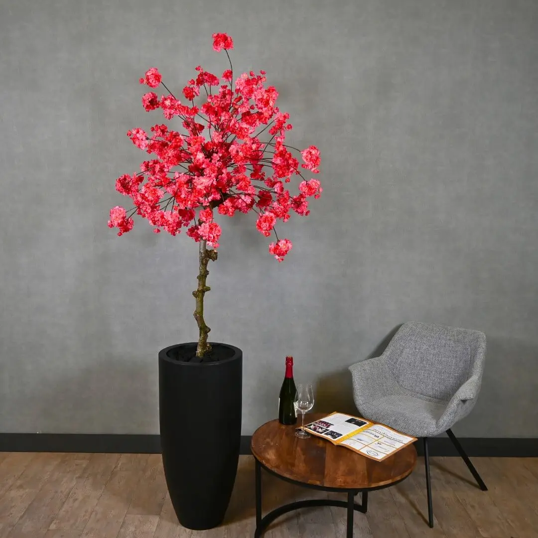 Grote bloesemboom Naomi met pot Fuchsia 200cm