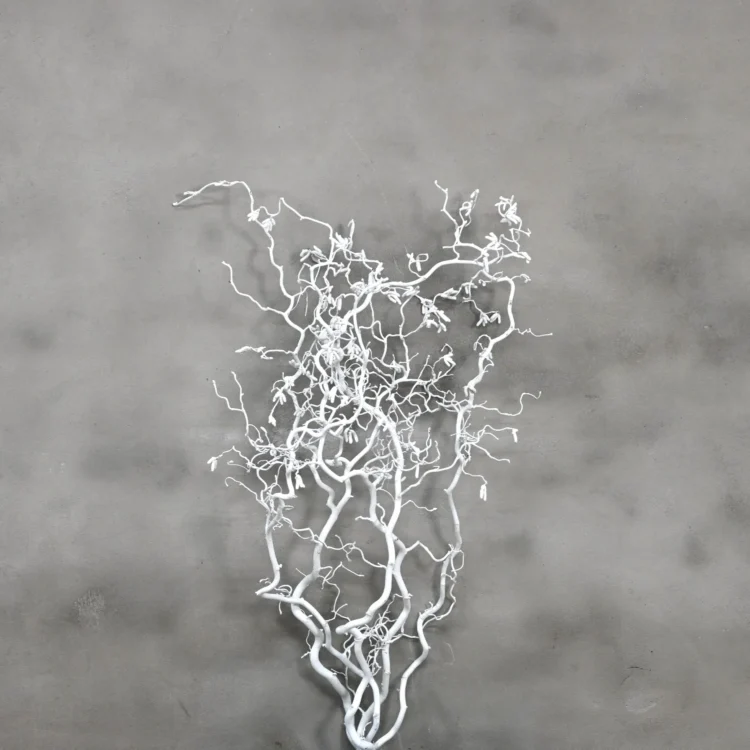 Hazelaartak wit 100 cm