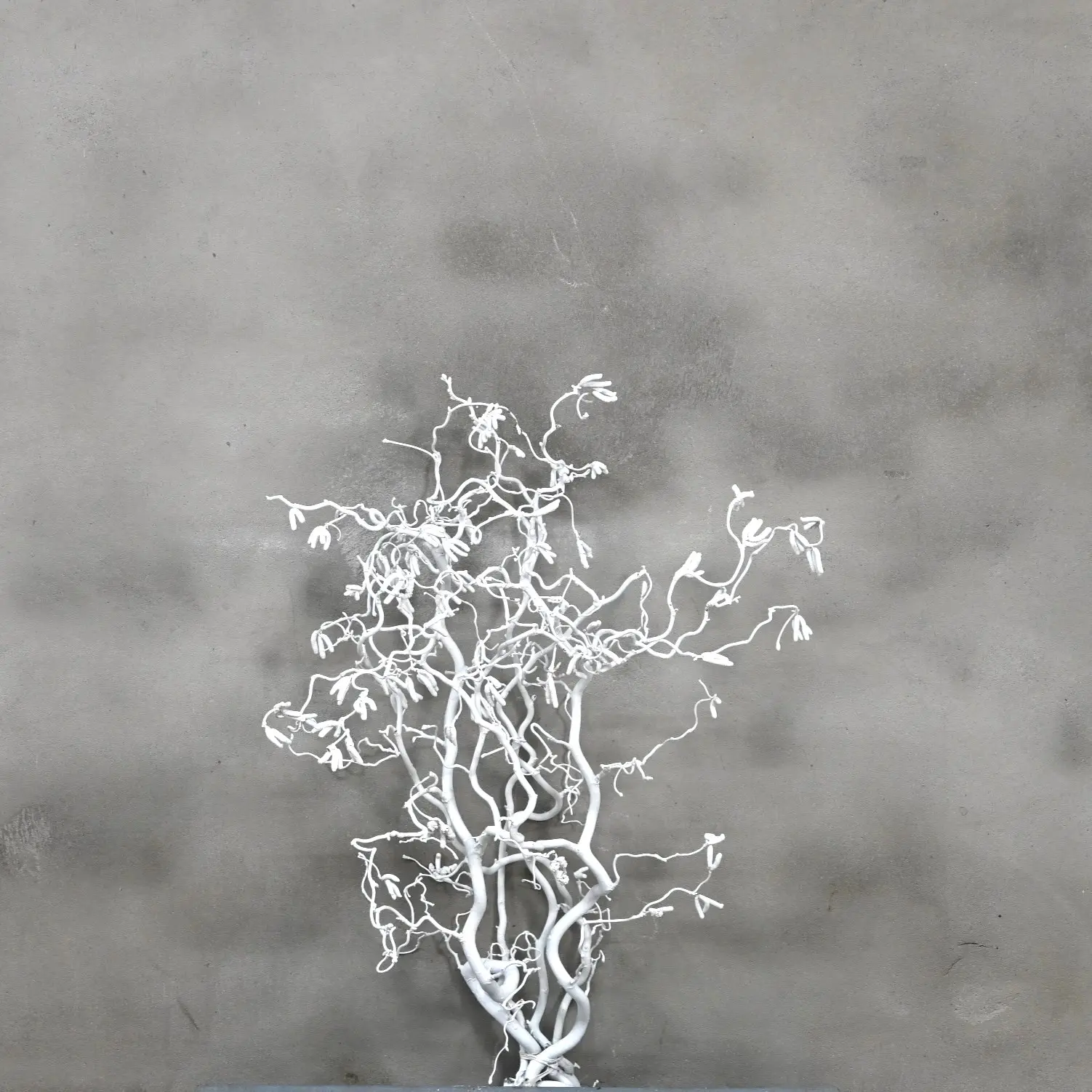 Hazelaartak wit 50 cm