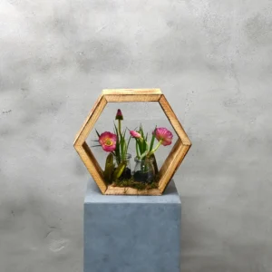 Hexagon Botanische Tuin