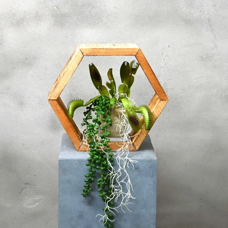 Hexagon Tropische Wildernis (1)