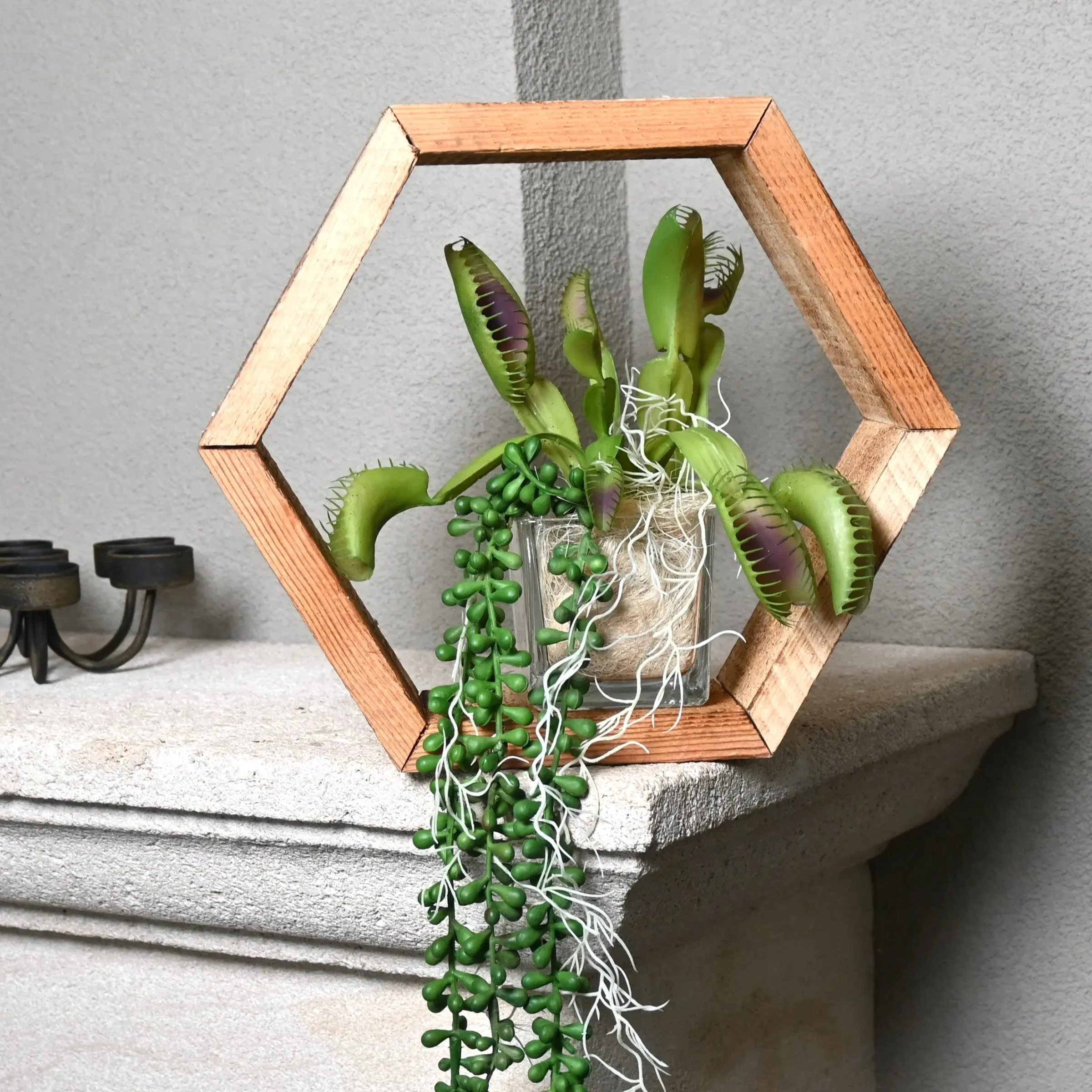 Hexagon Tropische Wildernis (3)