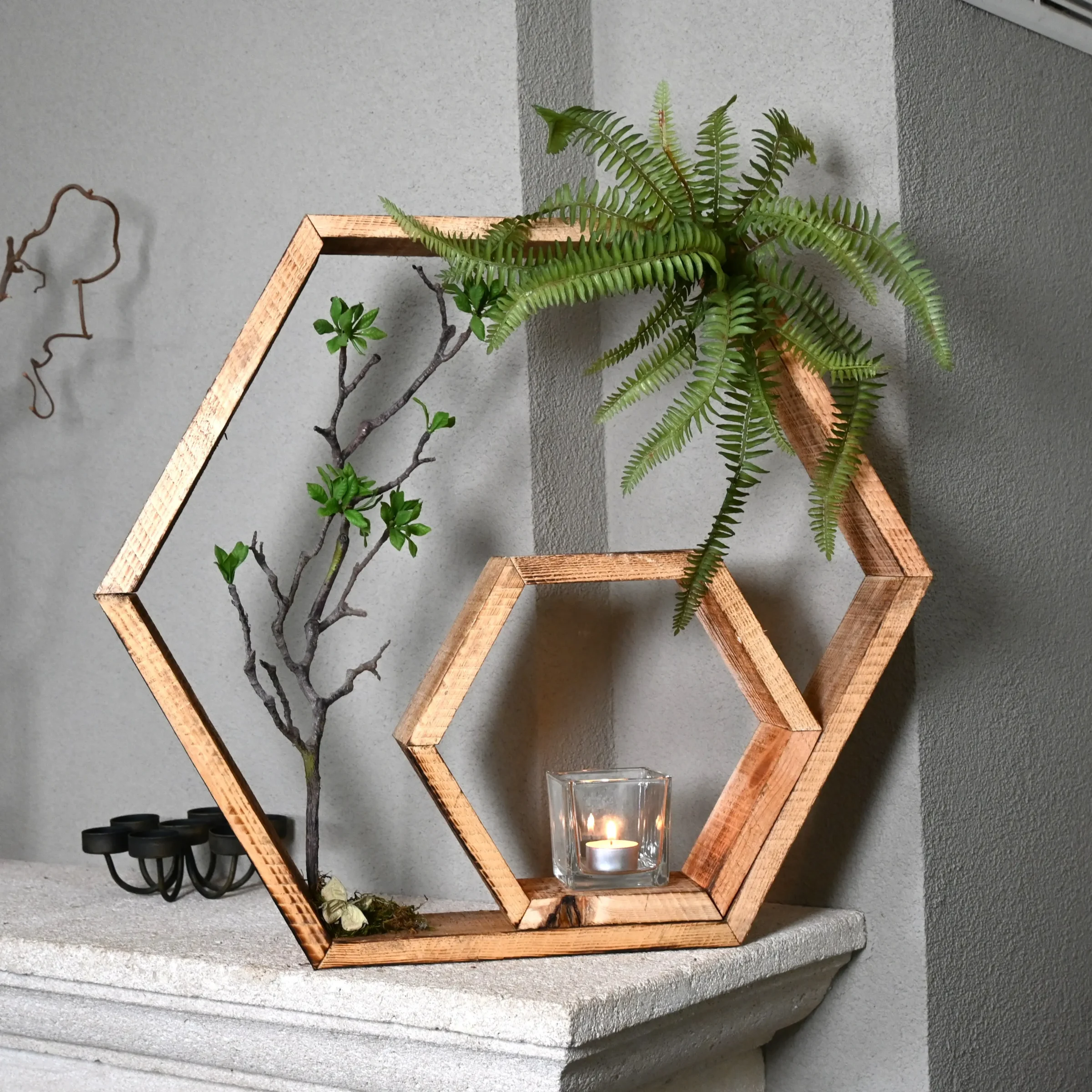 Hexagon Urban Jungle (1)