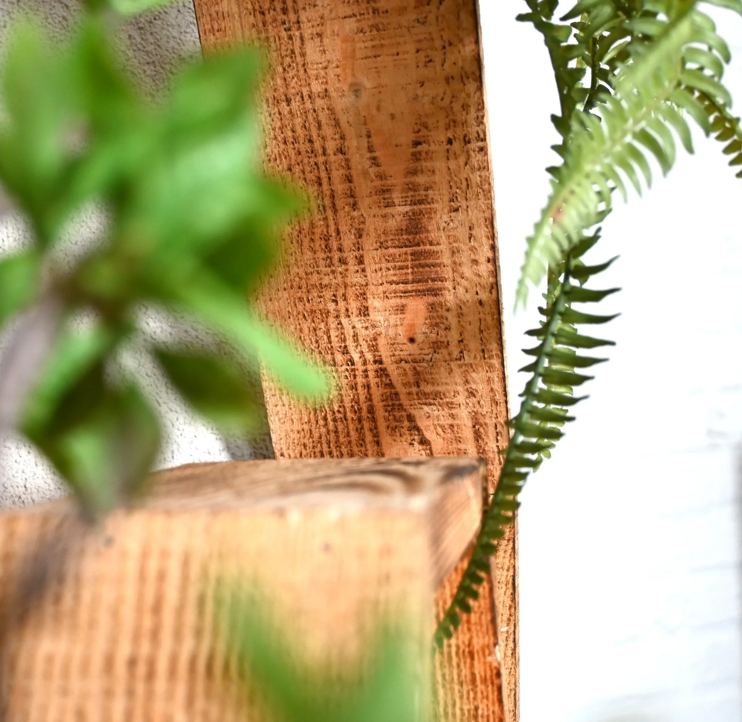 Hexagon Urban Jungle (2)