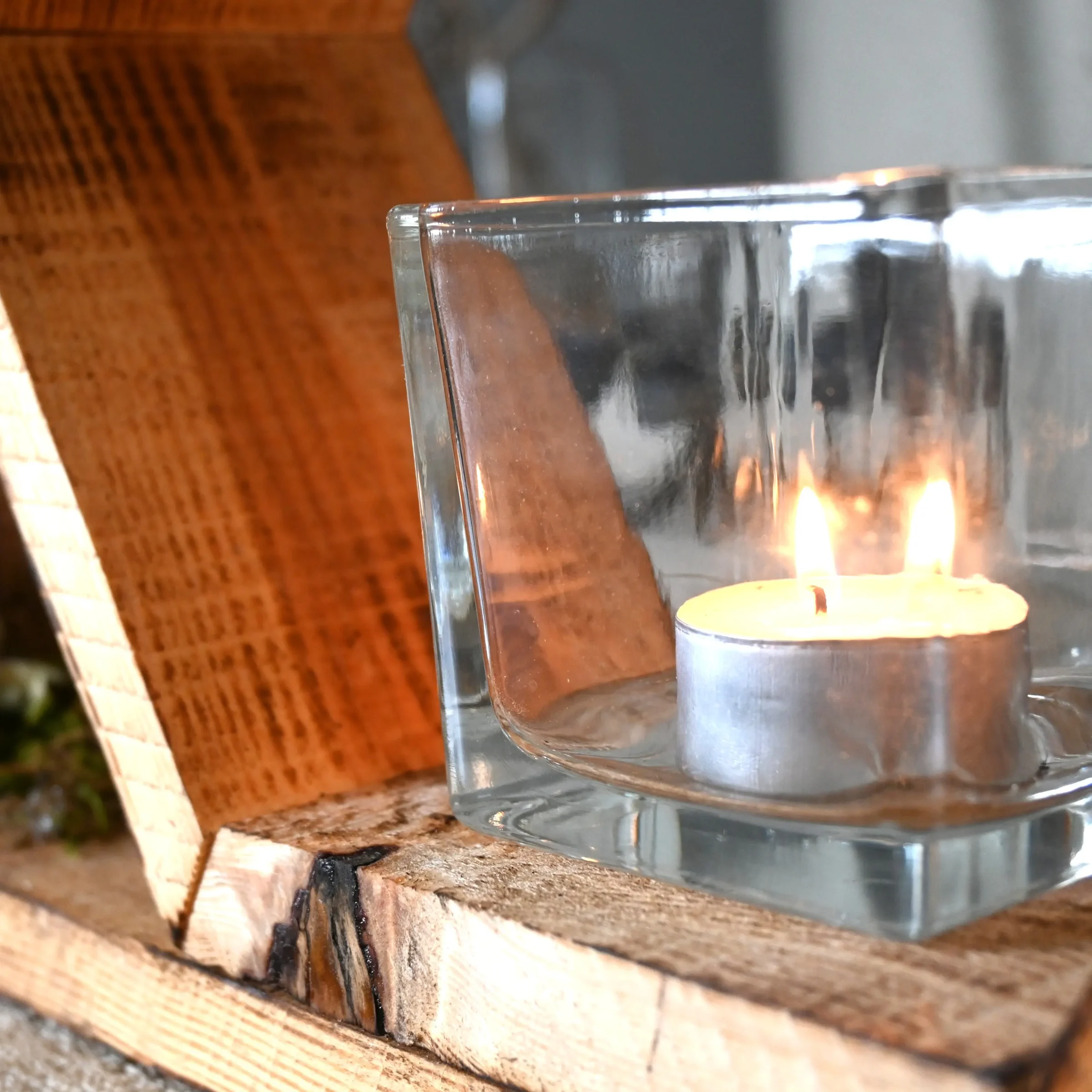 Hexagon Urban Jungle (3)