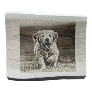 Houten plank Gepersonaliseerde Fototekst 40cm