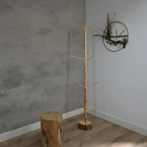 Kapstok boom 4-6cm doorsnee (2)