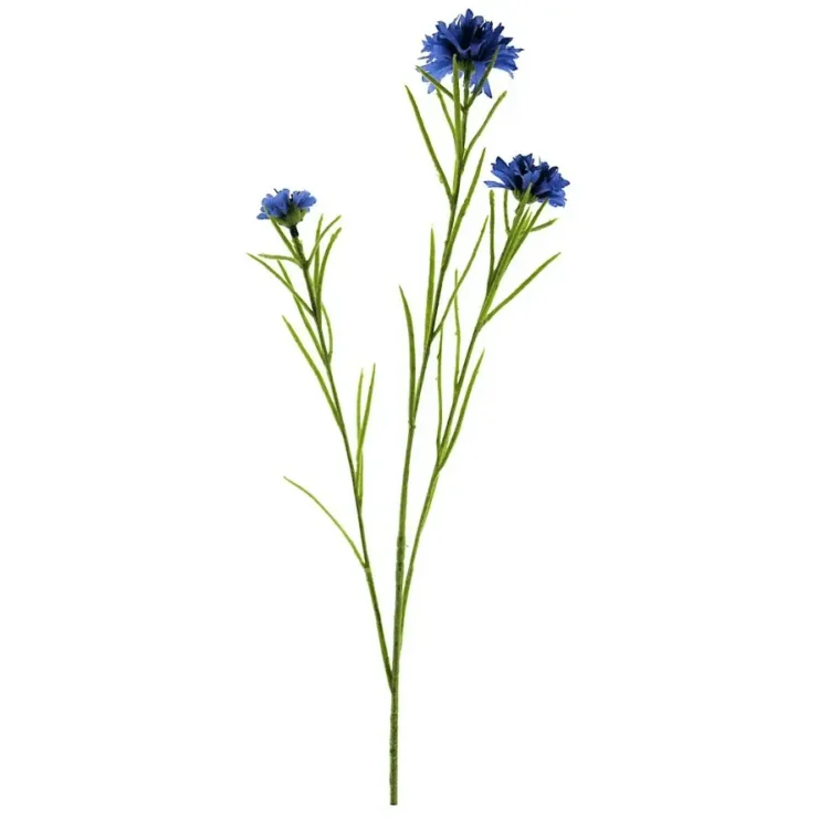 Korenbloem Blauw 65cm