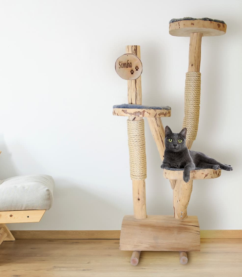 Krabpaal Tommie (10)