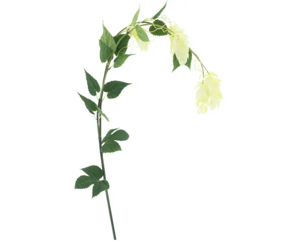 Kunst Hop Flower spray Crème 140cm