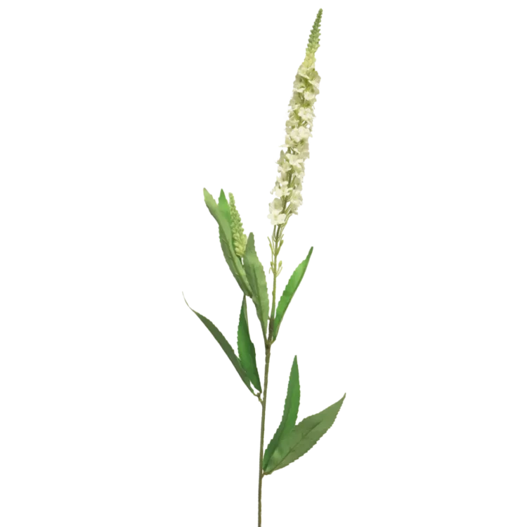 Kunst Veronica Créme 75cm