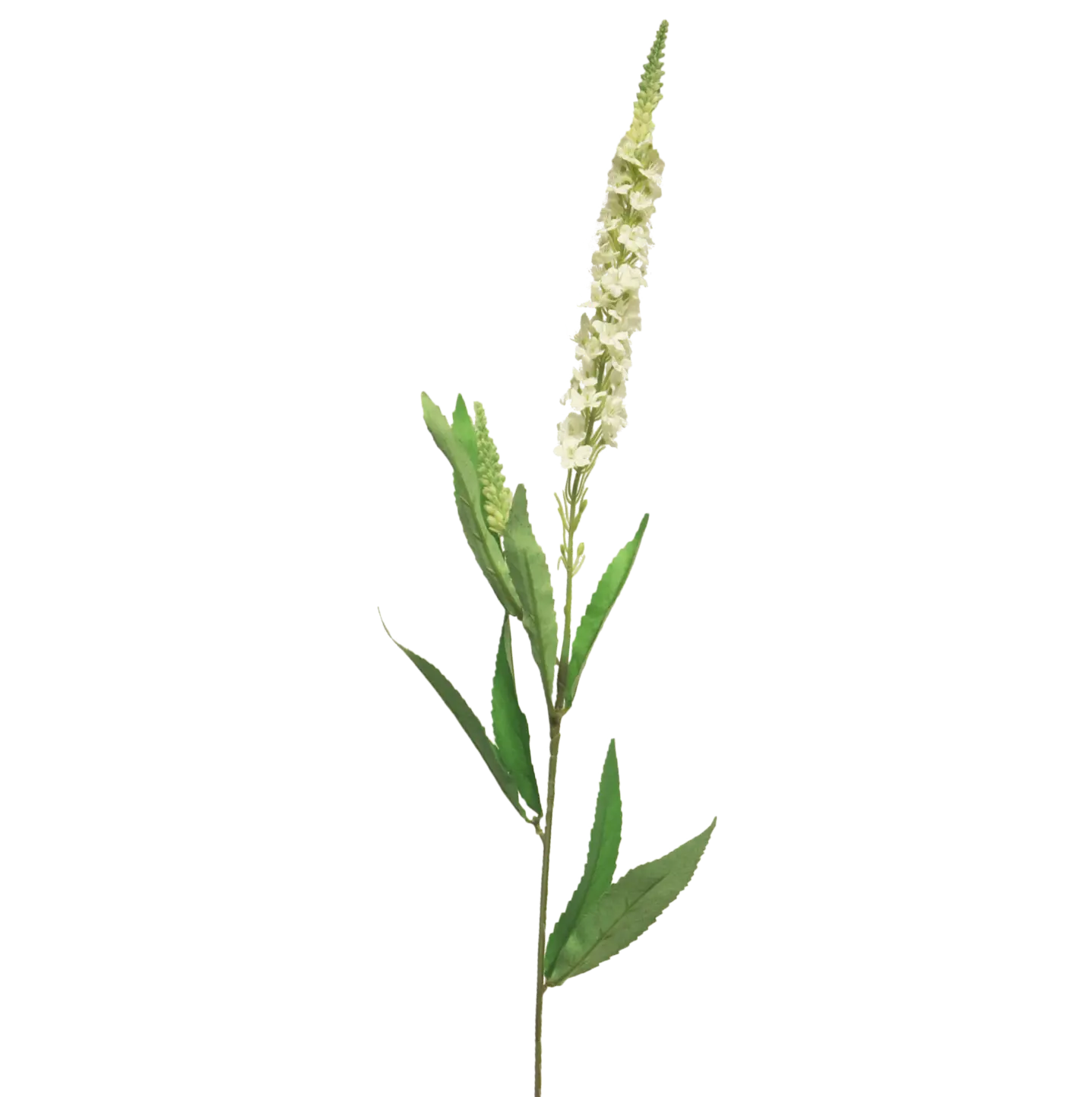 Kunst Veronica Créme 75cm