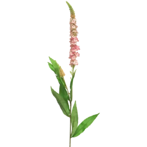 Kunst Veronica Roze 75cm