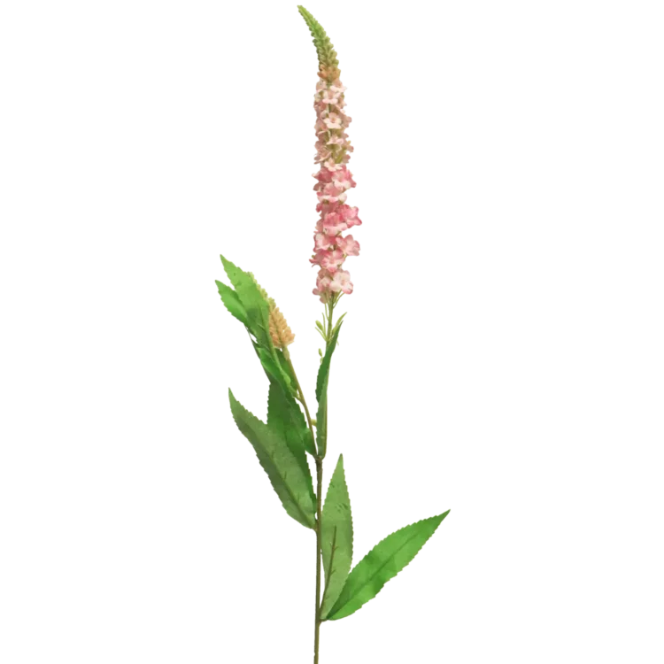 Kunst Veronica Roze 75cm